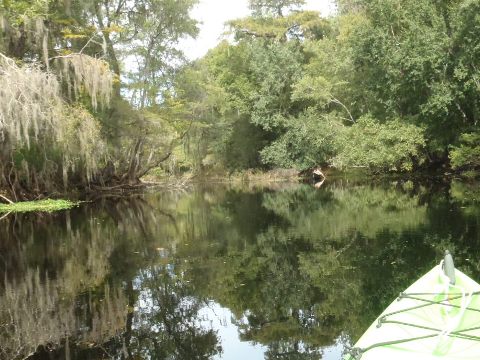 paddling Santa Fe River, River Rise to High Springs, kayak, canoe