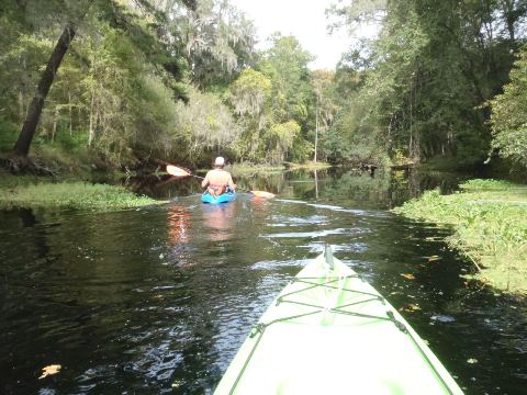 paddling Santa Fe River, River Rise to High Springs, kayak, canoe