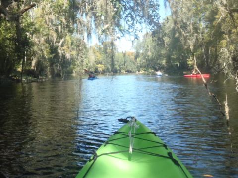 paddling Santa Fe River, US 27 to Poe Spring ,kayak, canoe