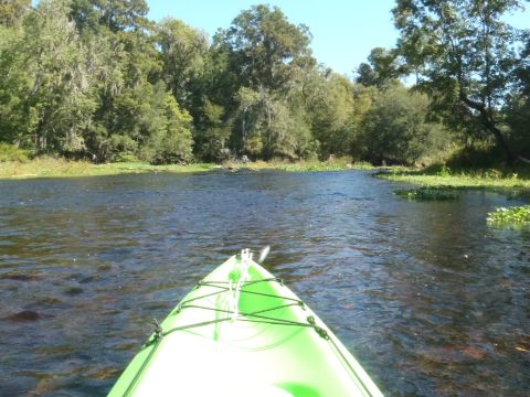 paddling Santa Fe River, US 27 to Poe Spring ,kayak, canoe