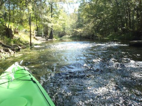 paddling Santa Fe River, US 27 to Poe Spring ,kayak, canoe