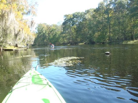 paddling Santa Fe River, US 27 to Poe Spring ,kayak, canoe