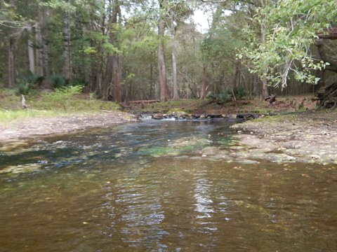 paddling Santa Fe River, Poe to Rum, kayak, canoe