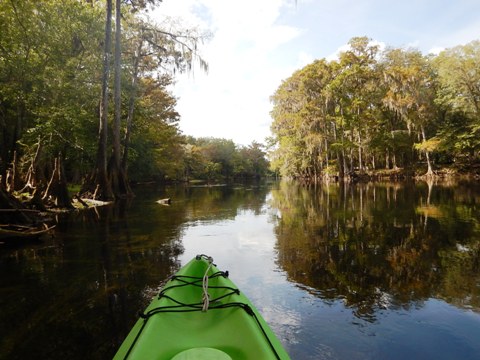 paddling Santa Fe River, Poe to Rum, kayak, canoe