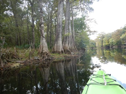 paddling Santa Fe River, Poe to Rum, kayak, canoe