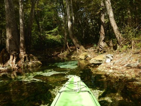 paddling Santa Fe River, Poe to Rum, kayak, canoe