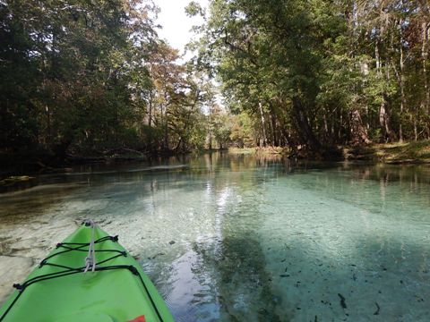 paddling Santa Fe River, Rum to Gilchrist, kayak, canoe