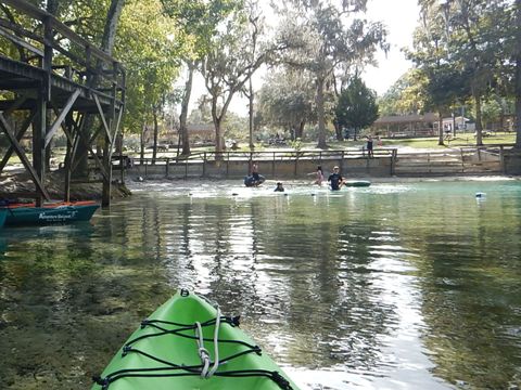paddling Santa Fe River, Rum to Gilchrist, kayak, canoe
