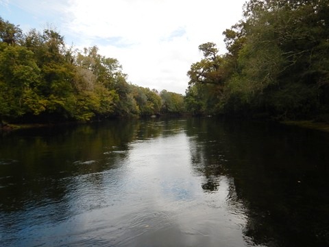 paddling Santa Fe River, Gilchrist County Santa Fe River Park, kayak, canoe