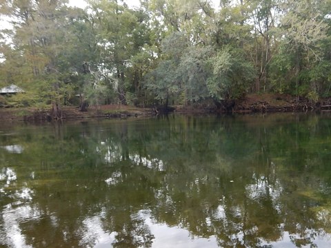 paddling Santa Fe River, Hollingsworth Bluff, kayak, canoe