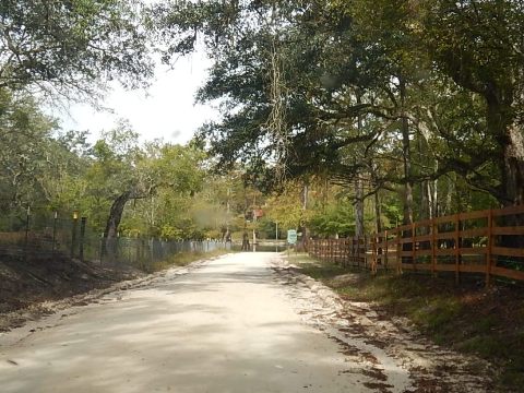 paddling Santa Fe River, Santa Fe/Suwannee, kayak, canoe