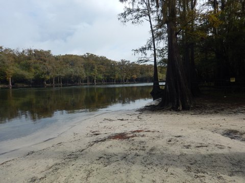 paddling Santa Fe River, Santa Fe/Suwannee, kayak, canoe