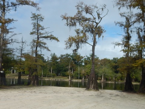 paddling Santa Fe River, Santa Fe/Suwannee, kayak, canoe