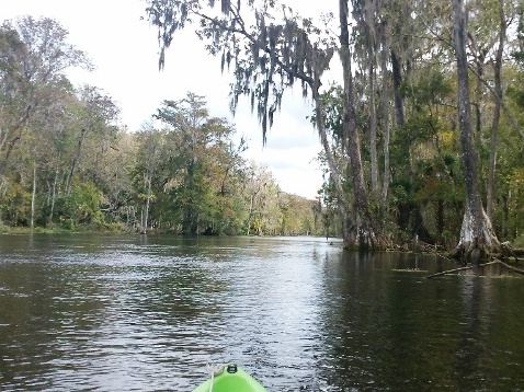 paddling Silver River