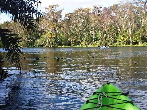 paddling Silver River