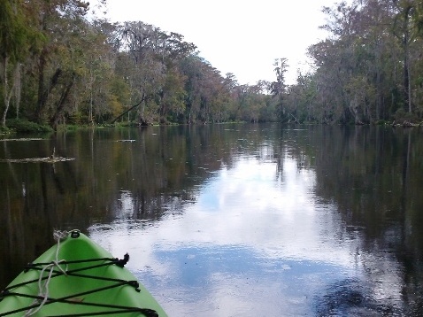 paddling Silver River