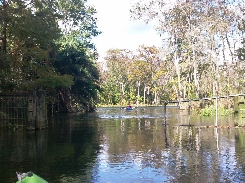 paddling Silver River, Fort King Waterway