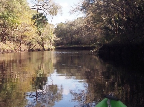 paddle Steinhatchee River, Big Bend