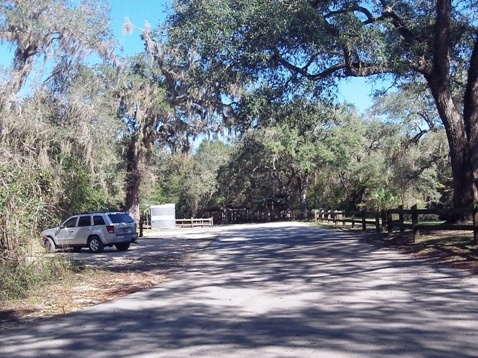 paddling Steinhatchee River