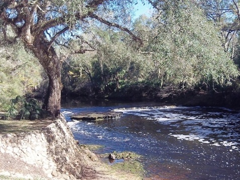 paddling Steinhatchee River