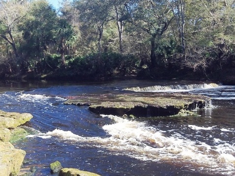 paddling Steinhatchee River