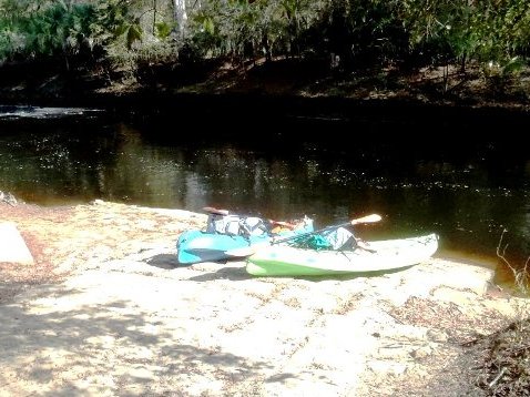 paddling Steinhatchee River