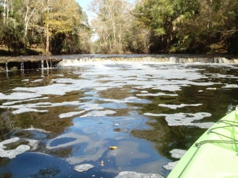 paddling Steinhatchee River