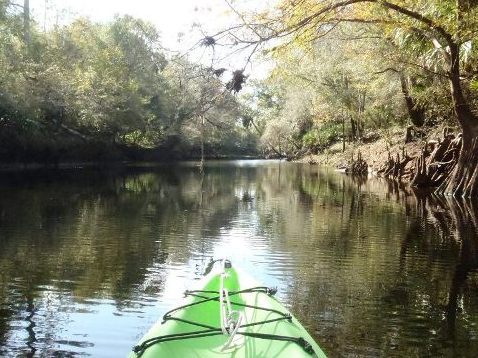 paddling Steinhatchee River