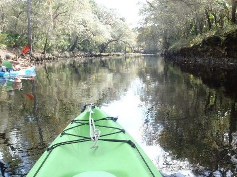 paddling Steinhatchee River