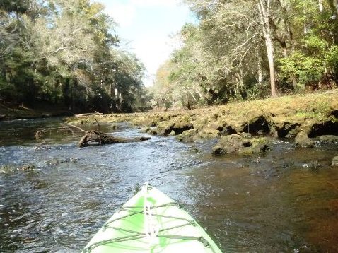 paddling Steinhatchee River