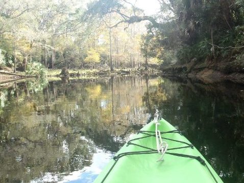 paddling Steinhatchee River