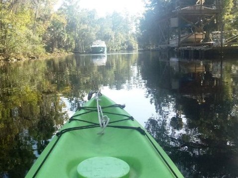 paddling Steinhatchee River