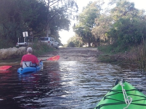 paddling Steinhatchee River