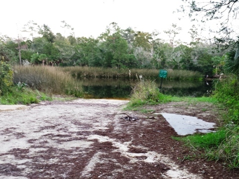 paddling Steinhatchee River