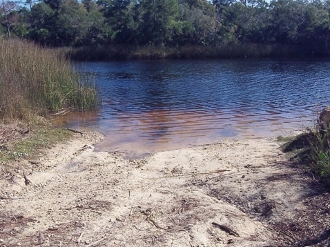 paddling Steinhatchee River