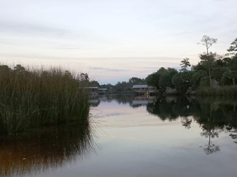 paddling Steinhatchee River