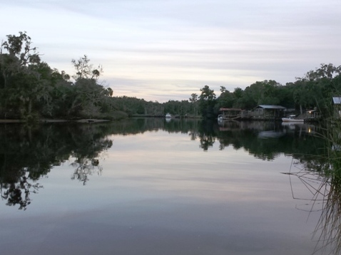 paddling Steinhatchee River