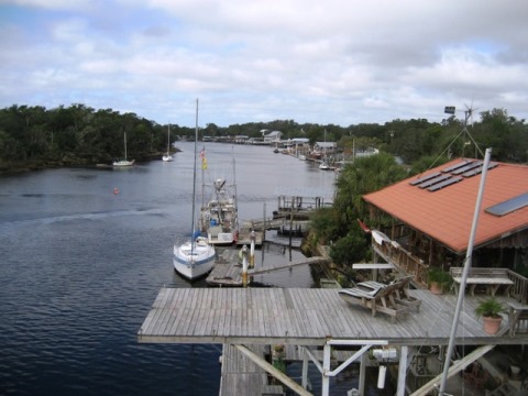 paddling Steinhatchee River