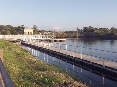 paddling Steinhatchee River