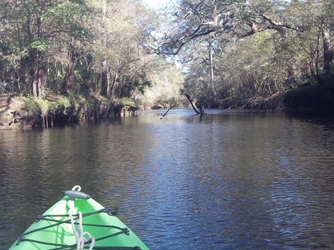 paddling Steinhatchee River