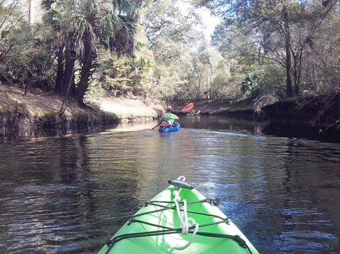 paddling Steinhatchee River