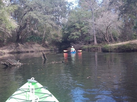 paddling Steinhatchee River