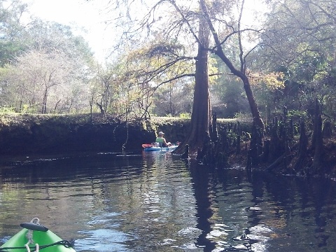 paddling Steinhatchee River