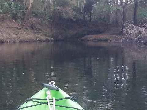 paddling Steinhatchee River