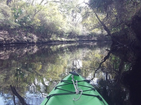 paddling Steinhatchee River