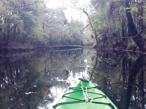 paddling Steinhatchee River