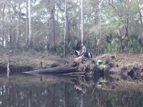 paddling Steinhatchee River