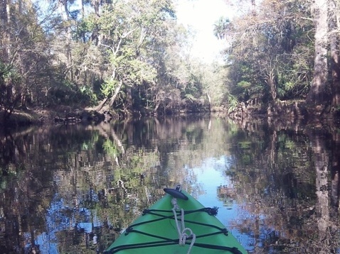 paddling Steinhatchee River