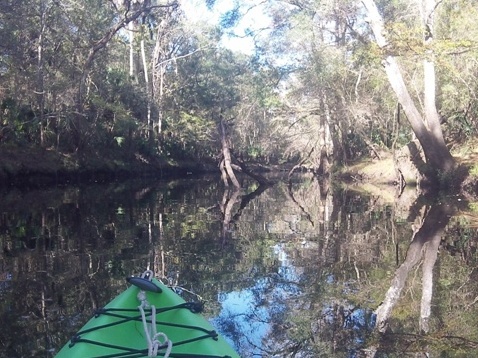 paddling Steinhatchee River