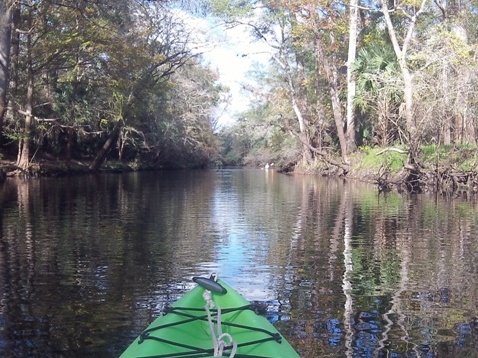 paddling Steinhatchee River